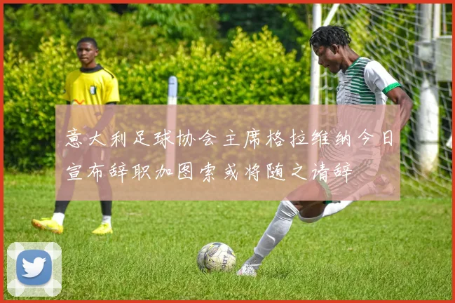 意大利足球协会主席格拉维纳今日宣布辞职加图索或将随之请辞