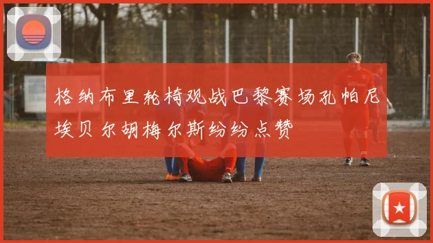 格纳布里轮椅观战巴黎赛场孔帕尼埃贝尔胡梅尔斯纷纷点赞