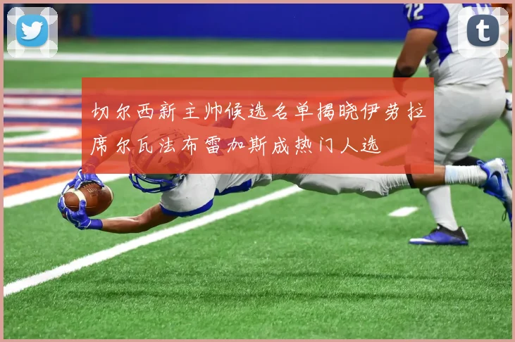 切尔西新主帅候选名单揭晓伊劳拉席尔瓦法布雷加斯成热门人选