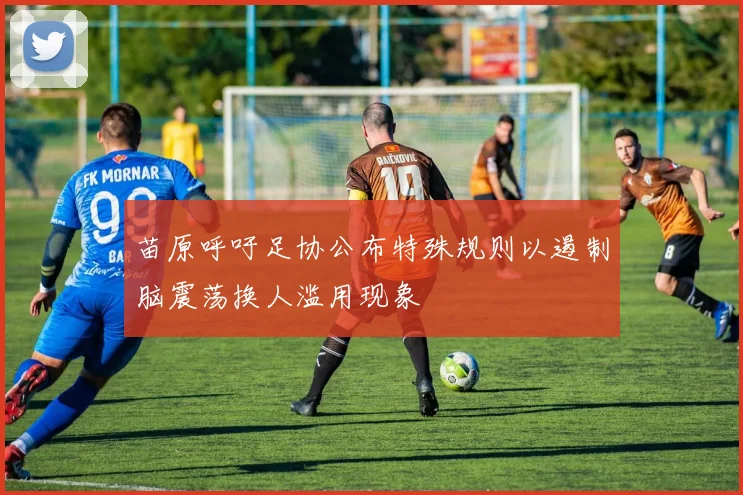苗原呼吁足协公布特殊规则以遏制脑震荡换人滥用现象