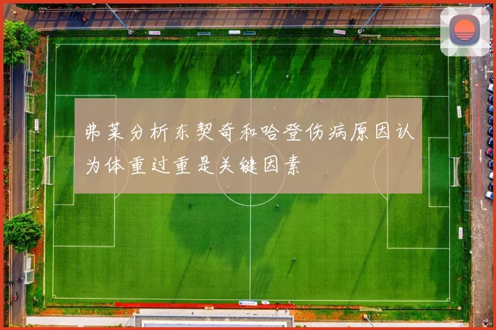 弗莱分析东契奇和哈登伤病原因认为体重过重是关键因素