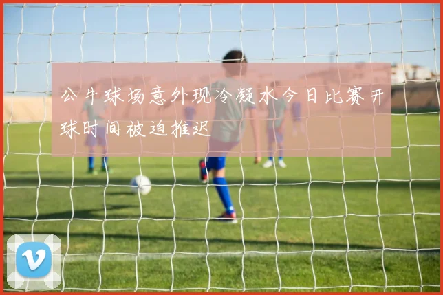 公牛球场意外现冷凝水今日比赛开球时间被迫推迟