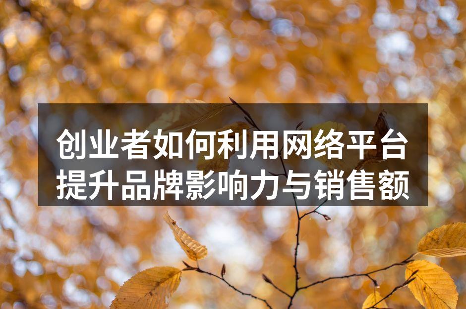创业者如何利用网络平台提升品牌影响力与销售额
